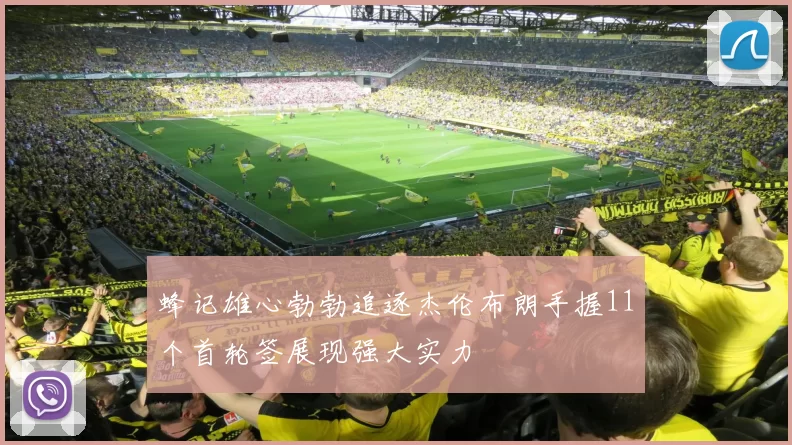 蜂记雄心勃勃追逐杰伦布朗手握11个首轮签展现强大实力