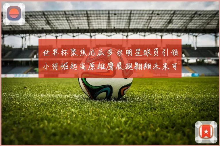 世界杯聚焦厄瓜多尔明星球员引领小将崛起高原雄鹰展翅翱翔未来可期